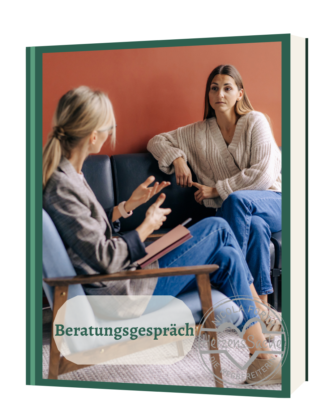 Beratungsgespräch/Anamnesegespräch Elternbegleitung
