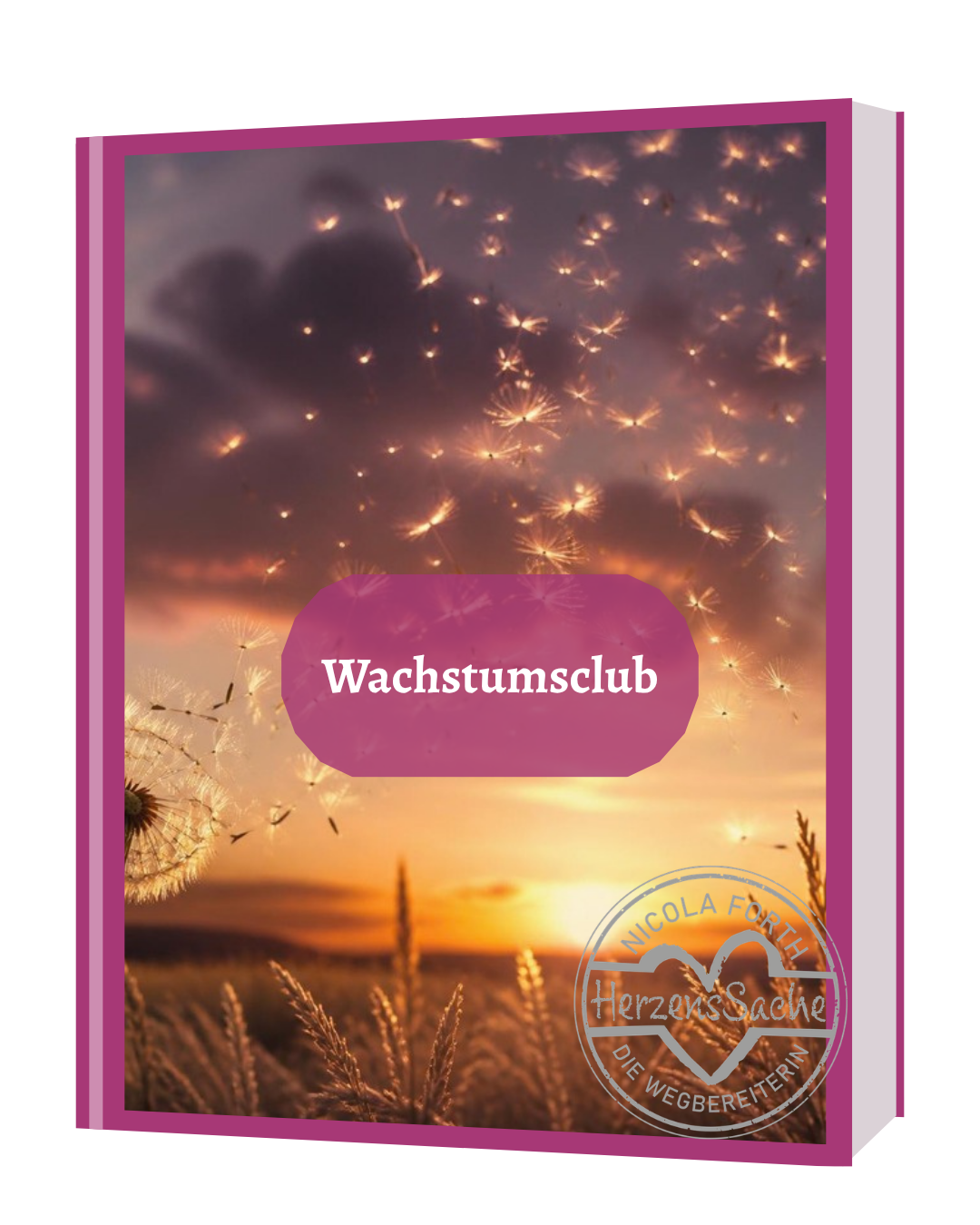 Buch Wachstumsclub mit Pusteblume im Abendlicht