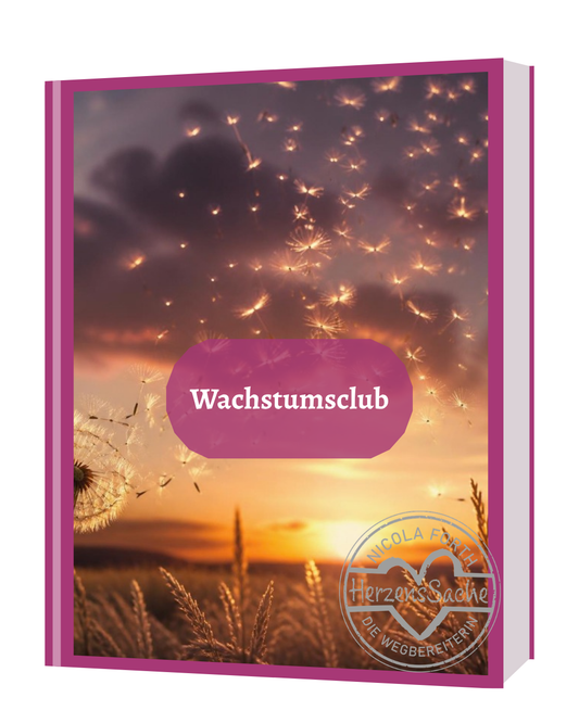 Buch Wachstumsclub mit Pusteblume im Abendlicht