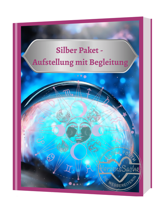 Silber - Paket: Aufstellung mit Begleitung
