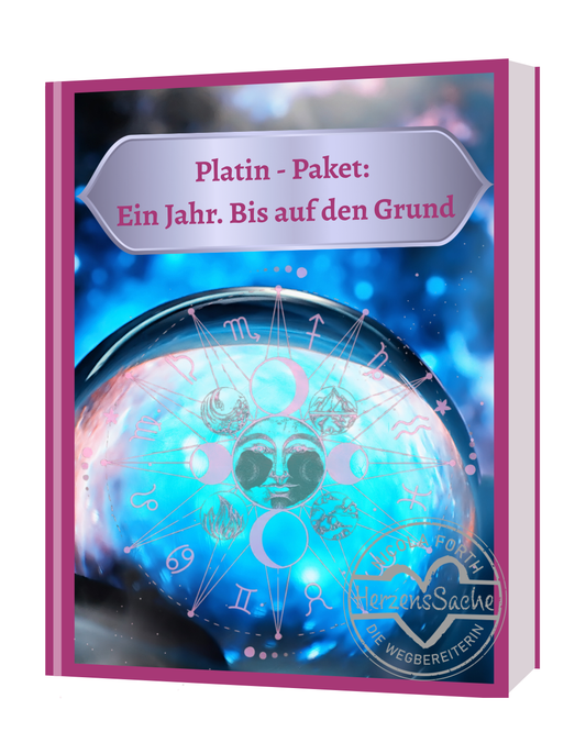 Platin - Paket: Ein Jahr. Bis auf den Grund. (Aufstellungspaket)