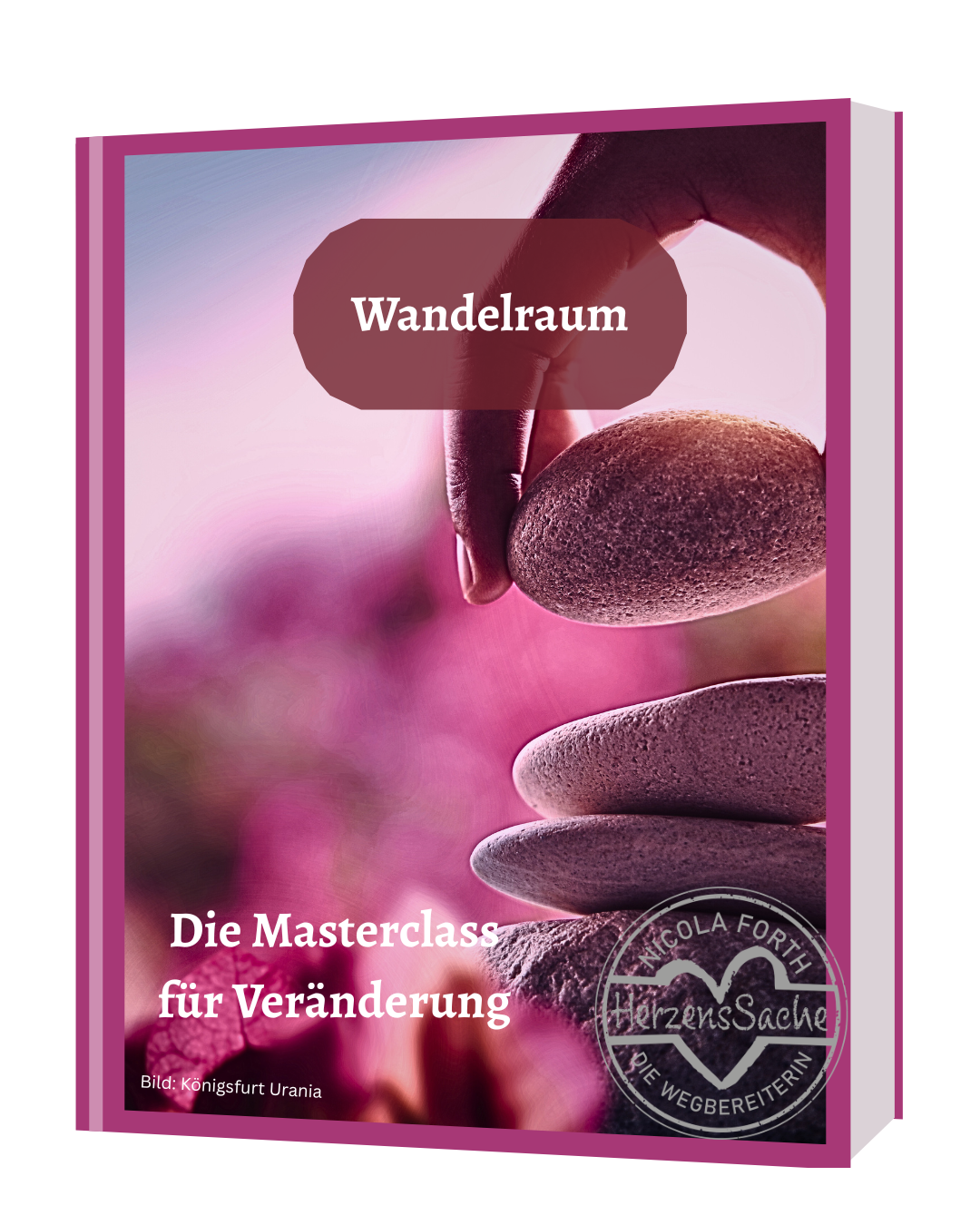 Wandelraum - Die Masterclass für Veränderung